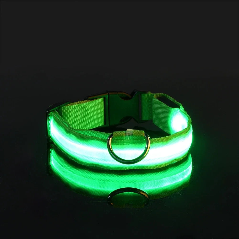 Dog Collar Nylon Night Safety LED Leash
