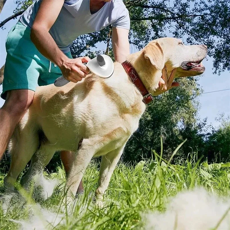 Self-Clean Grooming Brush for Pets