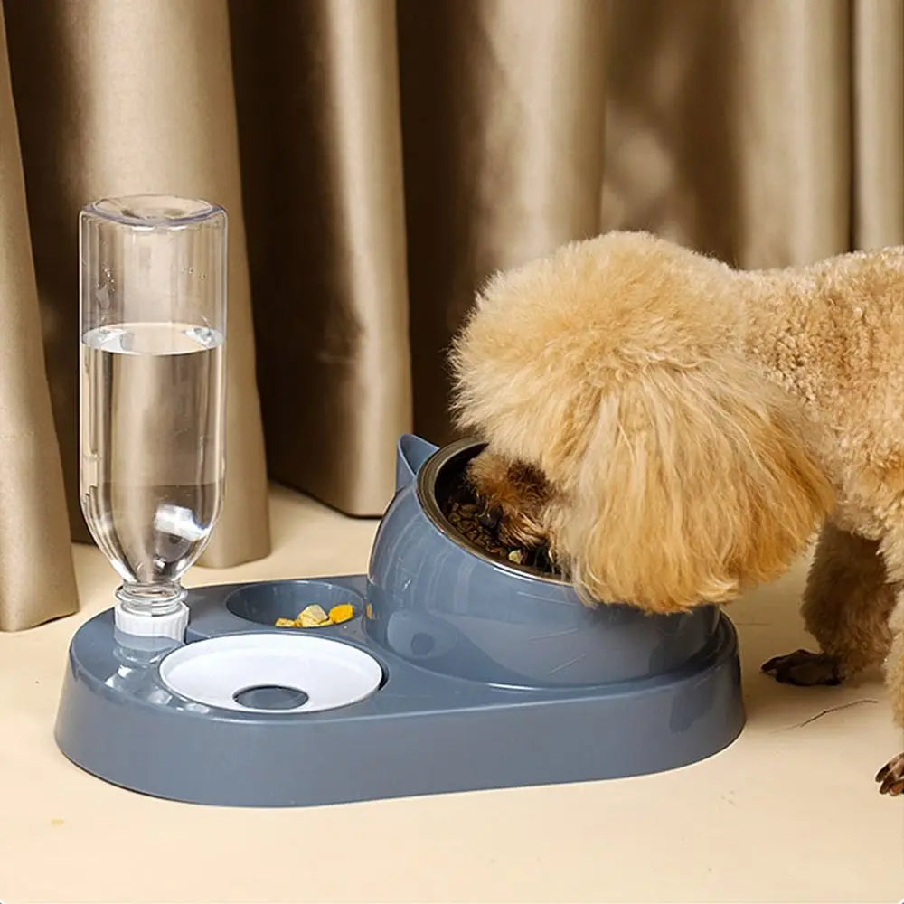 Pet Food Bowl with Water Dispenser